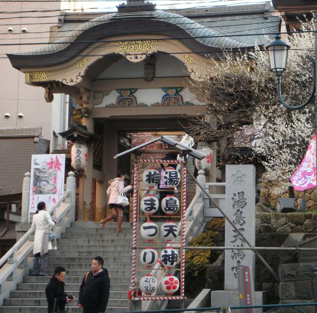 ＪＲ上野駅公園口を下り「横山大観記念館」へ向かいました。しかし時間が遅く閉館、近くの「旧岩崎邸庭園」も閉館、「何処か他に見学場所はないかな？」歩いて行ける場所は…仕方ないので湯島天神（湯島天満宮）を見学。梅は満開もありましたが、これから開花もありました。帰り際の台東区「下町風俗資料館」も当然閉館でした。