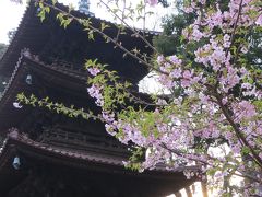 桜ステイプラン♪で椿山荘