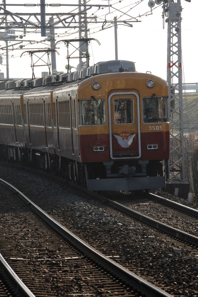 2013年3月10日で、京阪電鉄が気合いで導入した（？）、画期的でモダンな車両『旧型3000系（8030番台車両系）のテレビカー』が引退するそうです。<br />主に特急で使用される車両で、鳩のマークが付いているヤツです。<br />こまは鉄道撮影の極意は全く判りませんが、小さい頃から見て乗って親しんできた『テレビカー』が無くなると聞いて、カメラに納めておこうと思いました。<br /><br />旧3000系ネット→http://www.keihan.co.jp/traffic/railfan/3000/<br /><br />地元ながらも、鉄道を寄り良く撮るポイントまでは理解していなかったこまは、田んぼでの撮影で意気消沈｡｡｡そのまま次の車両に望みを託し、リベンジに燃えるのでした。<br /><br />果たしてその結果や如何に！<br /><br />扉画像は、逆光の府道沿いを疾走する8030系（旧3000系ダブルデッカ-・テレビカー）特急列車。<br /><br /><br /><br />橋本散歩・スペシャル～『さようならテレビカー・ありがとう旧3000系特急車』撮影～その２