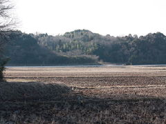 春を探して・・・[2013](1)　　築地編