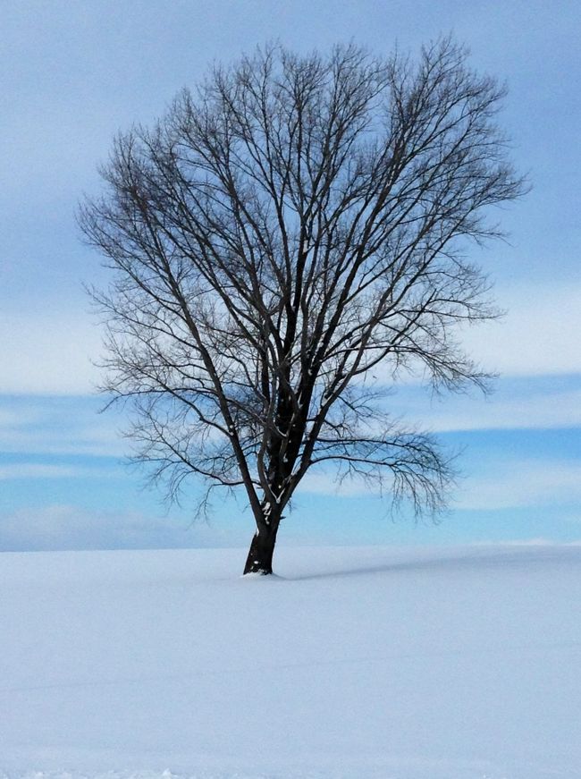 ***北海道１か月生活***