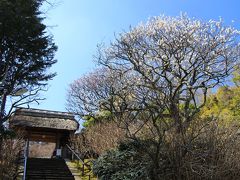 鎌倉・梅観て歩き：「東慶寺」