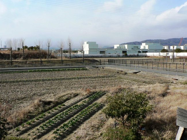 京街道は１９３２年に京阪国道として整備され（旧）国道１号線と称されたのち１９６６年に枚方バイパス（国道１号線）開通後は大阪府道１３号京都守口線となった。江戸時代には京街道と共に淀川を利用した水運も盛んに利用されており、京街道周辺は淀川を往来する舟運の要衝としても栄えた。<br />京都の伏見港と大阪の八軒家を結ぶ客船・三十石船を初め大小の船が行き交い、枚方の京街道周辺には枚方浜、樟葉浜、樋之上浜、渚浜、磯島浜などの船着場が設けられていた。<br />（写真は府道１３号京都守口線沿いの渚周辺の光景）<br />