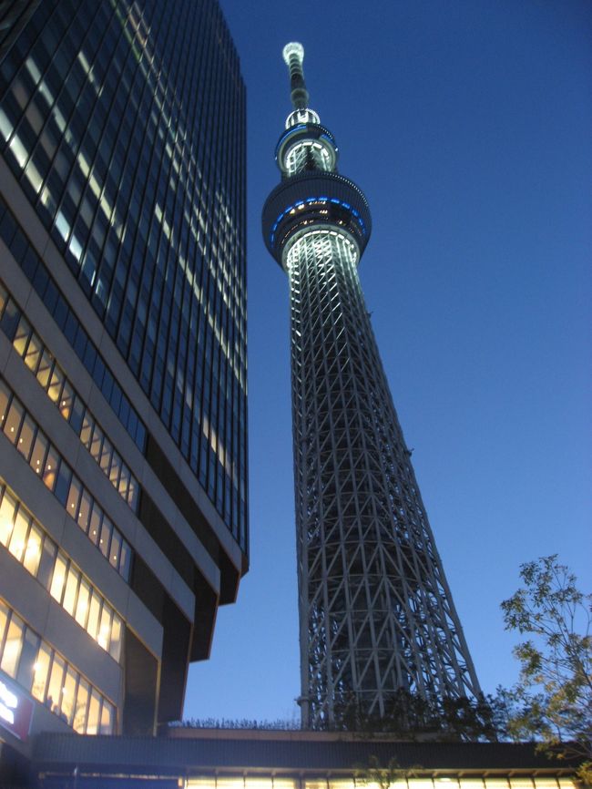 ’１３　スカイツリー 白色特別ライトアップ