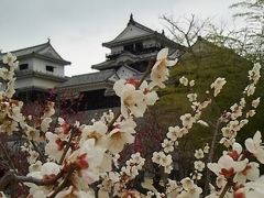 どこへ行っても麺が主食♪第10弾　松山・尾道の旅《１日目前半～松山城とソウルフード編》