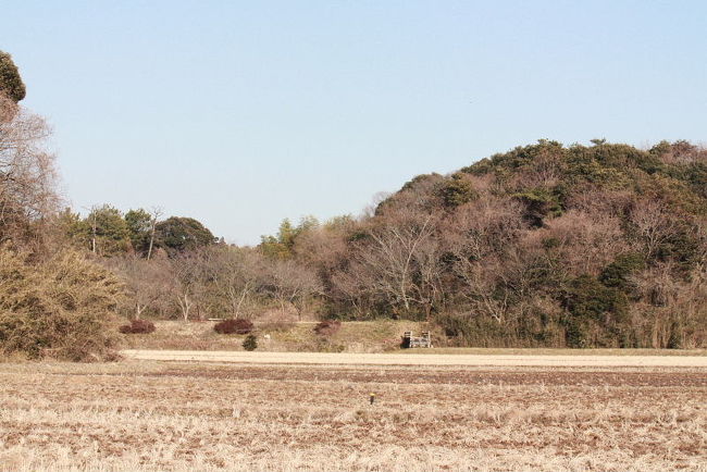 春を探して・・・　　築地編（１）の続編です。<br /><br />表紙写真は、築地の谷津田と里山の風景です。