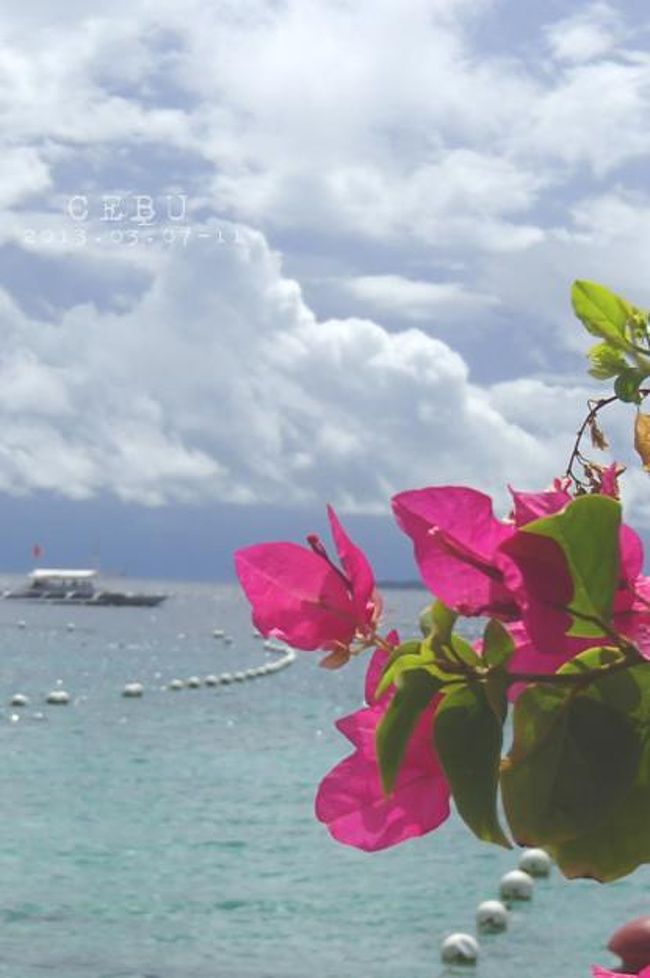 昨年秋から予定していたセブ島旅行に、ついに行ってきました。<br />3泊5日インチョン経由での旅。<br />宿泊先はシャングリラ マクタン リゾート＆スパ。<br />私は初☆海外旅行、旦那くんは10年以上ぶりの海外旅行。<br />無事に終えられるか不安だったけど<br />なんとか生還することもできて、とっても楽しい旅になりました♪<br />前編（１･２日目）からの続き３･４･５日目の旅行記<br />（前編よりも長めです）<br /><br />1日目　福岡発<br />　　　 インチョン経由にてセブへ<br /><br />2日目　シーウォーカー・パラセール<br />　　　 市内観光<br /><br />3日目　アイランドホッピング（ナルスアン島）<br />　　　 ショッピング<br /><br />4日目　ホテルでまったり過ごす<br />　　　 セブ発−インチョン着<br /><br />5日目　帰国　