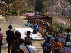 ２０１３　青春１８切符　久しぶり熱海の梅園　下