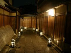 灯りと花の路～京都の夜を彩る　東山花灯路2013～