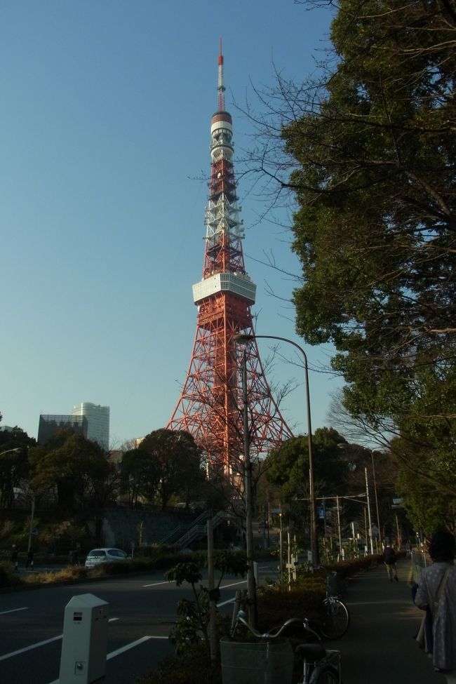 家族（義実家）の用事で東京へ土日でいってきました。<br />通常、お友達と会ったり、用事を済ませたり、せいぜいお食事をする程度で、なかなか名古屋に来てからは観光らしい観光はしていなかったのですが、今回は、1日目に東京タワーに登ってきました。<br />おいしいもの・贅沢なものを沢山食べた週末でした♪<br />次はいつかな〜。