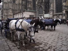 馬鹿でかく広大なシェーンブルン宮殿はちょっとくすんだ黄色(ウィーンVienna)