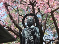 2012年　4月　花まつりの「海寿山　満福寺　密蔵院」は桜で満開でした　