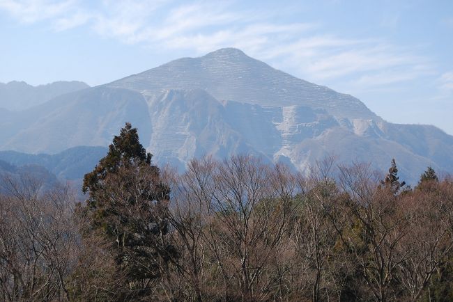 3月16日、午前7時43分の上福岡発の東武東上線に乗り、久方ぶりに友人3人との合計4名で横瀬の日向山ハイキングを行った。<br />行程、歩行距離、歩行時間、標高差は次の通りである。この日は朝から快晴に恵まれ、昼間の気温も18℃くらいで快適なハイキング日和であった。　美しい武甲山及び伊豆ケ岳、二子山、丸山等がずっと見られた。<br />山の花道より少し下った日向谷では山野草としてはセツブン草が見頃であった。　しかしながら、カタクリ、アズマイチゲ等は見られなかった。<br /><br />(行程)<br />上福岡発ー川越ー東飯能ー芦ヶ久保ー芦ヶ久保果樹公園村ー山の花道ー日向谷ー山の花道ー日向山ー琴平神社ー卜雲寺前ー法長寺ー横瀬町役場ー武甲温泉ー横瀬ー東飯能ー川越ー上福岡<br /><br />(歩行距離)　約10キロ<br />(歩行時間)　4時間半<br />(標高差)　　約356m= 日向山(633m)ー芦ヶ久保(317m) 山の花道(580)ー日向谷(540)=40m<br /><br /><br />＊写真はあしがくぼ果樹公園村から見られた武甲山
