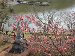 鋸南（きょなん）水仙の郷　　２　佐久間ダム公園