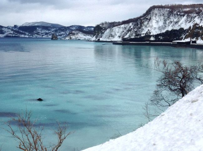 群来（くき）との遭遇☆★☆友との再会