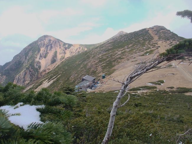 　２０１２年の１０月、今年も八ヶ岳に登りにやってきました。八ヶ岳登山と言っても、私たちが向かうのは北八ヶ岳の根石岳頂上直下に建つ根石岳山荘です。<br />　２０年前、夫と二人八ヶ岳を三ツ頭、権現岳、赤岳、硫黄岳、天狗岳と縦走した時、途中から雪になり逃げこんだのが根石岳山荘でした。<br />　いかにも山小屋らしい根石岳山荘が好きになり、そこに集う人々との出会いを楽しみに、毎年通うようになった私たち。<br />　コースを変えて登るうち、北八ヶ岳の苔むした原生林の森の魅力に取りつかれ、最近はほとんど桜平から夏沢鉱泉、オーレン小屋、箕冠山を経由するコースで登っています。<br />　箕冠山の頂上を過ぎ、根石岳とのコルに向けて下ろうとする瞬間に見えてくる天狗岳の展望も、何度見ても素晴らしく飽きることはありません。