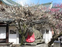 春の京都を歩き倒す。北野天満宮の梅見と東山花灯路