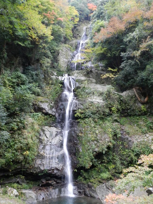 「奥祖谷二重かずら橋」からさらに山奥へと走り、剣山山麓を経てつるぎ町にある二つの滝（土釜＆鳴滝）に向かいました。<br />どちらの滝もそれぞれ個性があって見応えがありました！<br /><br />『2012年秋／神戸→琴平→祖谷→有馬の旅』ダイジェスト版旅行記はこちら→http://4travel.jp/traveler/joecool/album/10726196/