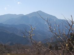 春うららかの日向山ハイキング②山の花道～日向山～武甲温泉～上福岡迄