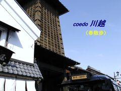 coedo 川越　春散歩