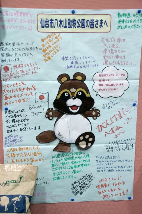 東北新幹線に乗って仙台の八木山動物園へレッサーパンダ詣（1）プロローグ：初めての仙台へのアクセス編～八木山動物園の東日本大震災と復興の展示』仙台(宮城県)の旅行記・ブログ  by まみさん【フォートラベル】