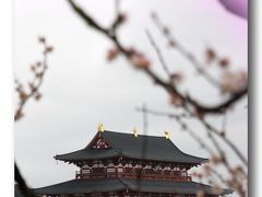 Solitary Journey ［1171］ 春の車旅、なんと(710年)うつくしい平城京と覚えた平城京跡を歩く ＜いにしえの都‘奈良’＞奈良県奈良市