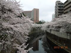 【伊東温泉】春休み家族旅行（前泊編）