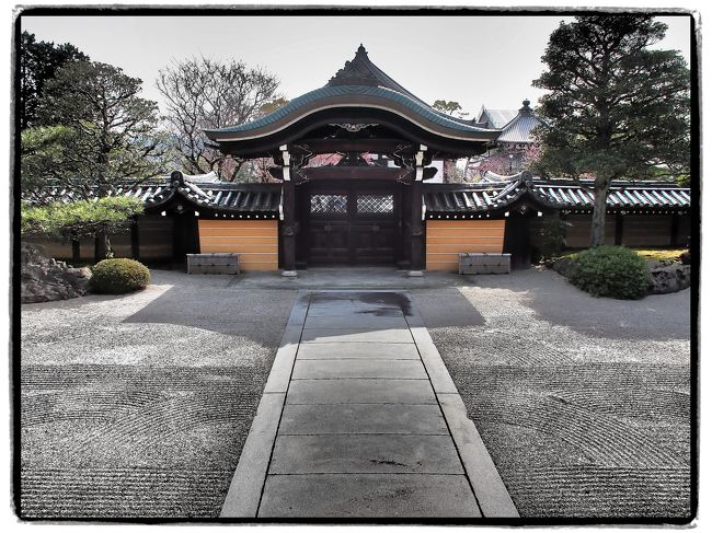 【１泊２日の旅。京都・洛東散策①（非公開文化財特別公開の寺院巡り）】<br /><br />早春の京都へ｡｡｡<br /><br />去年は春・夏・秋と京都を訪れたのですが、結局「冬」は行けずじまい。<br />何となく京都の情報を見ていると、「第47回 京の冬の旅－非公開文化財特別公開－」というキャンペーンが、まさにこの週末まで（25年１月10日から３月18日まで）開催しているのを発見（してしまったか？）。<br /><br />もうすぐそこまで春が迫ってますが、ギリギリ「冬の旅」にもなりそうだと自分自身で勝手に納得し、ここはぜひぜひ足を運んでみることに。<br /><br />旅の１日目は、通常非公開の文化財を特別に公開しているお寺のうち、洛東エリアに絞って巡ってみました。<br /><br />今回訪れたお寺は、すごくメジャーな観光スポットではない分、秘められたお宝やお庭を落ち着いた雰囲気の中でじっくり拝観することができました。<br /><br />※文化財等そのものの写真撮影はできませんので、旅行記の写真は建物やお庭が中心になります。<br />・「第47回 京の冬の旅 非公開文化財特別公開」のホームページ<br />　http://www.kyokanko.or.jp/huyu2012/2012huyutabi_1.html#hikokai_3<br /><br />〔旅の行程〕<br />東京駅 ～ 京都駅 ～ 京阪神宮丸太町駅 ～ 聖護院門跡 ～ 金戒光明寺（御影堂 ～ 紫雲の庭 ～ 文殊塔 ～ 会津藩殉難者墓地）～ 真如堂 ～ 哲学の道 ～ 霊鑑寺<br /><br />【旅行記その２】～2013 京都 東山花灯路 灯りに照らされた東山へ～<br />　http://4travel.jp/traveler/akaitsubasa/album/10765398/<br />【旅行記その３】～朝の東山・産寧坂 重要伝統的建造物群保存地区と清水寺を歩く～<br />　http://4travel.jp/traveler/akaitsubasa/album/10766956/<br />【旅行記その４】～菅原道真公も愛した、梅の馥郁たる香りに包まれる北野天満宮へ～<br />　http://4travel.jp/traveler/akaitsubasa/album/10770831/<br />【旅行記その５】～名刹が連なる洛西に、世界遺産の金閣寺と龍安寺を訪う～<br />　http://4travel.jp/traveler/akaitsubasa/album/10772775/<br /><br /><br />【古都京都の四季をゆく・春編】<br />・銀閣寺から哲学の道を歩き平安神宮へ<br />　http://4travel.jp/traveler/akaitsubasa/album/10661369/<br />・桜咲きほこる嵐山渡月橋と天龍寺のしだれ桜<br />　http://4travel.jp/traveler/akaitsubasa/album/10662752/<br />・春爛漫の嵯峨野古寺巡り（常寂光寺から大覚寺まで）<br />　http://4travel.jp/traveler/akaitsubasa/album/10665086/ <br /><br />【古都京都の四季をゆく・夏編】<br />・緑に彩られた門跡寺院・三千院へ～<br />　http://4travel.jp/traveler/akaitsubasa/album/10716979/<br />・（さらに）大原の由緒ある寺院（宝泉院・勝林院・来迎院）を訪う<br />　http://4travel.jp/traveler/akaitsubasa/album/10719249/<br />・（最後は）大原の里を横断し、建礼門院の御閑居・寂光院へ<br />　http://4travel.jp/traveler/akaitsubasa/album/10721270/ <br /><br />【古都京都の四季をゆく・秋編】<br />・秋雨に濡れる門跡寺院・毘沙門堂へ<br />　http://4travel.jp/traveler/akaitsubasa/album/10728892/<br />・林泉の水面を紅く染める醍醐寺へ<br />　http://4travel.jp/traveler/akaitsubasa/album/10730075/<br />・2012 清水寺・秋の夜間特別拝観<br />　http://4travel.jp/traveler/akaitsubasa/album/10730484/<br />・「もみじ」に染まる永観堂禅林寺<br />　http://4travel.jp/traveler/akaitsubasa/album/10730792/<br />・洛東の巨刹・南禅寺をゆく①（三門・方丈庭園・南禅院編）<br />　http://4travel.jp/traveler/akaitsubasa/album/10730975/<br />・洛東の巨刹・南禅寺をゆく②（南禅寺塔頭 天授庵・金地院編）<br />　http://4travel.jp/traveler/akaitsubasa/album/10731998/<br />・紅く彩られた門跡寺院・青蓮院へ<br />　http://4travel.jp/traveler/akaitsubasa/album/10732800/<br />・紅葉の絶景が広がる「清水の舞台」へ<br />　http://4travel.jp/traveler/akaitsubasa/album/10735253/<br />・「ねね」の想いが今も残る終の棲家・高台寺へ<br />　http://4travel.jp/traveler/akaitsubasa/album/10735365/<br />・京都五山の大伽藍・東福寺で「通天のもみじ」を眺める<br />　http://4travel.jp/traveler/akaitsubasa/album/10736997/