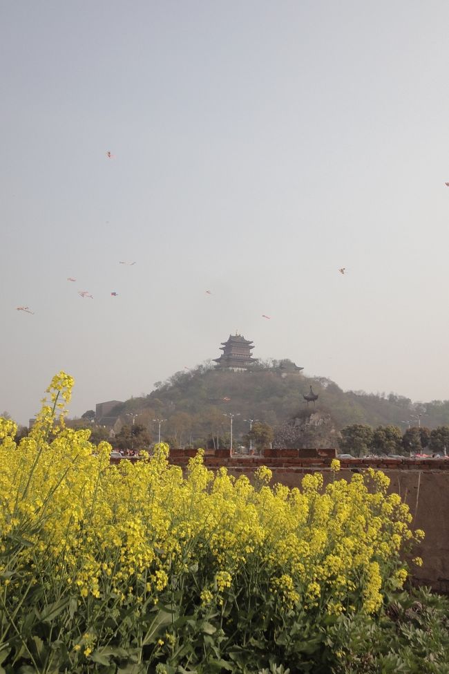 中国三大名酢のひとつである『鎮江香酢』の里、鎮江に行ってきました。<br />テーマは黒酢、名物麺料理の鍋蓋麺、西津渡です。<br /><br /><br />■行程■<br />4月4日　上海-鎮江　高速鉄道　10：12-　109.50元<br />4月5日　鎮江→揚州　バス　17元<br />4月7日　揚州→鎮江　バス　17元<br />4月7日　鎮江→上海　高速鉄道　18：47-20：15　109.50元<br /><br />■ホテル＠鎮江■<br />錦江之星　鎮江解放路店