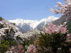 桜咲く高遠・駒ヶ根と木曽駒ヶ岳へ