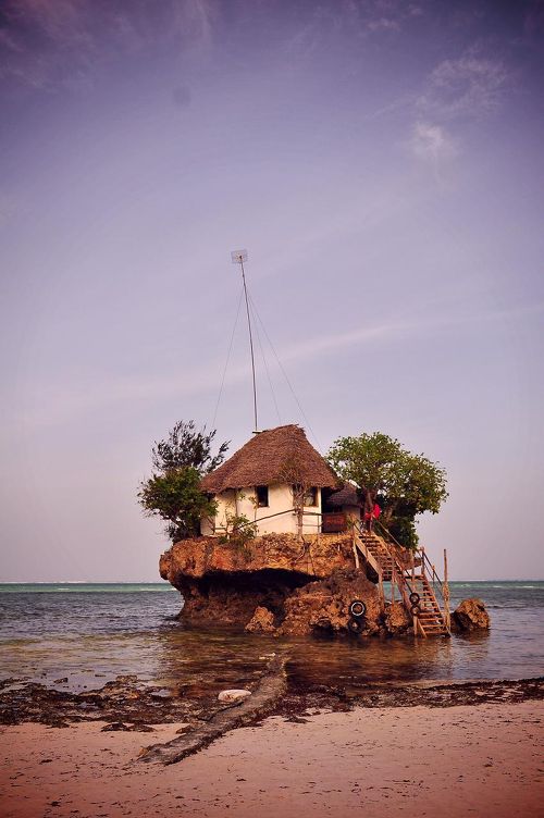 スルタンを魅了した楽園 ～ザンジバル島』ザンジバル(タンザニア)の旅行記・ブログ by kumさん【フォートラベル】