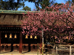 2013 京都へ梅を見に行こう