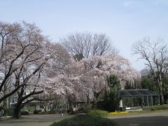 井の頭公園にお出かけ