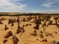 オーストラリア西海岸の旅　～ピナクルズ、ウェーブロックを見てコアラ・カンガルー・ウォッカと戯れる！～