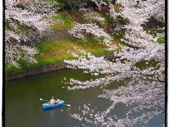 江戸東京まちなか散歩【５】～2013 千代田・さくらの名所をゆく①（皇居東御苑・北の丸公園編）～ 