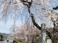 森の妖精を求めての秩父ハイキング①野上駅～法善寺迄