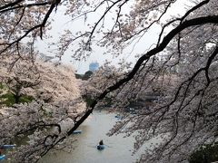 大人の休日☆　「東京・千鳥ヶ淵」　満開の桜と音楽鑑賞に酔いしれた1日・・・