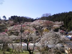 吉野梅郷