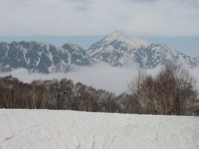 今年は、いまいち気合が入らず、スキーに行かず。<br />先般、高校の後輩２人が、東北を訪ねてくれた事に、触発されたというわけで、<br />さて、どこに行こうか？なるべく遠くへということで、<br />かつての「ホームゲレンデ」戸隠へ。<br /><br />２３日朝４時過ぎに、仙台宮城をたって、いざ戸隠へ。<br />料金検索すると、休日割引で４６５０円。<br />４時出発で長野ICに着くのが、８：５２。嘘でしょう！！<br />岩舟JCTで北関東自動車道へ。<br />高崎JCTで関越道上りへ、すぐに藤岡JCTで上信越道へ。<br />更埴JCTで長野へ。<br />到着は９：３０。休憩をこまめに取ったので、こんなものでしょうか。<br />戸隠スキー場は１０：２０に着く。<br />５．５時間券、シニア２８００円。安くなりましたね。<br />春スキーとて、コンディションは期待せず。なにせ今年最初で最後のスキーです。<br />あいにくの霧です。<br />人も少ないですね。リフトに乗っていた「指導員」らしき人が、<br />２月いっぱいは、最高のパウダースノーと言っていましたが、事実です。<br />今日は無理せず、上級も行かず、ゆるりゆるりと。<br />最後はロマンスリフト横の斜面の雪が状態よく、小一時間。<br /><br />終わって、ふきのとうの「秘密の花園」で採取。<br />採れましたね。<br />宿泊は、東横イン善光寺でゆっくり。<br />２４日は朝８時過ぎに長野発、仙台到着１３：３０。<br />トータル１０３０キロ、ガソリン８３リッター。<br />気合を入れた今シーズン、初で最後のスキーでした。<br />