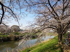 ＜五街道ウォーク･日光街道編.５＞春を感じる旧街道　桜を眺め 「越谷宿」～春日部へ