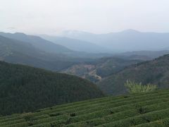 桜をたずねて２０１３春①遠山桜