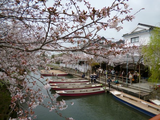 外国人の友達が福岡へ遊びに来てくれたので、柳川観光をすることに。<br />ラッキーなことに「さげもん&桜満開」の週末!!<br /><br />西鉄電車(福岡天神~柳川)往復乗車券+川下り乗船券+柳川料理の食事券がセットになった<br />『柳川特盛きっぷ』でお得な旅を満喫!!<br /><br />曇りの予報だったお天気も、日中はお日様が顔を出してくれました~!!<br />風もなく川下りの船頭さんも、「今日は川下り日和ですばい!」と気合が入っていました。<br />