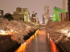 東京散歩♪ ⑦ 白金・桜＆目黒川・夜桜＆とんき目黒店