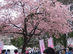 ２０１３年春の青春１８きっぷの旅（三日目・熊谷さくらマラソンに参加してきました）