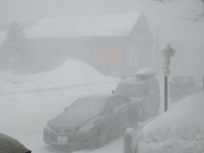 吹雪いた日のお出かけは。。。