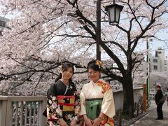 神田川の桜と椿山荘　Sakura of Kanda River and Chinzanso Garden