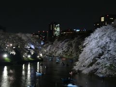 2013年3月　夜桜（九段下）