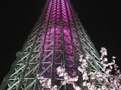 ’１３　スカイツリー桜特別ライティング「咲」「舞」