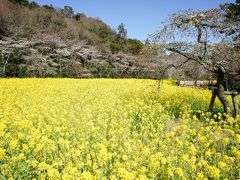 はままつフラワーパーク