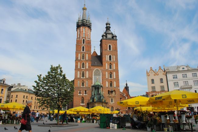 ポーランドのユネスコ世界遺産と、巡礼地を巡る旅。<br /><br />クラクフ編です、表紙の写真は、中央市場広場から聖マリア教会です。 <br /><br />